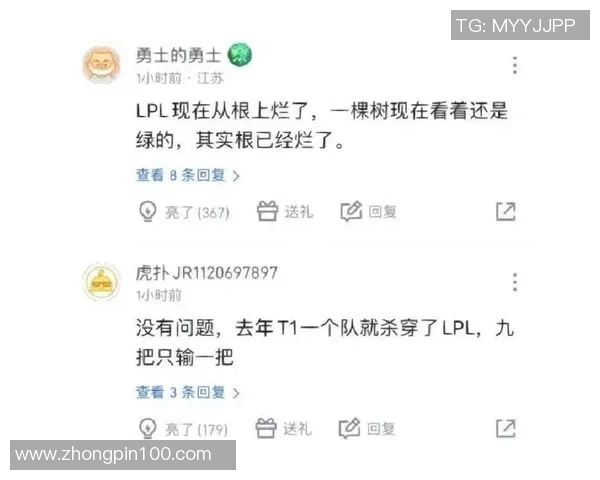 V5战队实力解析：从战术到选手的全面剖析与未来展望