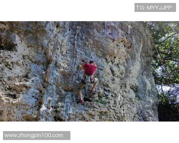 杭州攀岩队实力解析：聚焦攀岩运动的崛起与发展