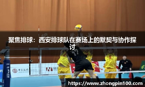 聚焦排球：西安排球队在赛场上的默契与协作探讨